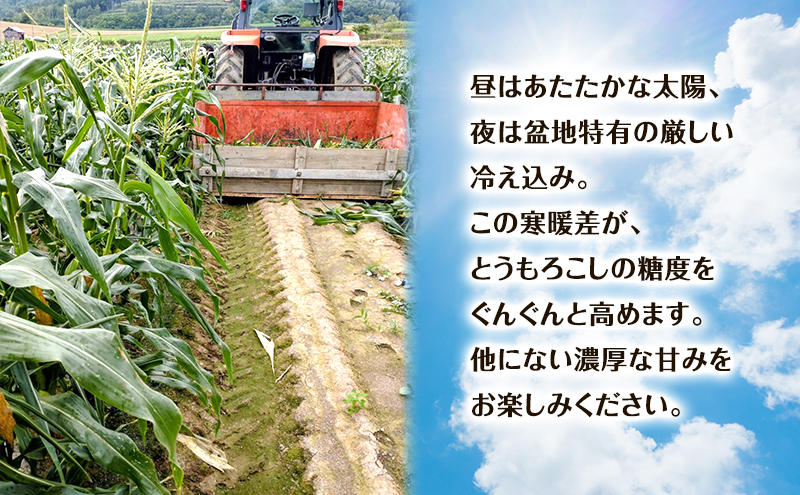 【2026年夏出荷】富良野産 とうもろこし ゆめのコーン 10本 (約5kg) L～LLサイズ 野菜 新鮮 直送 コーン とうきび 道産 北海道 幕田農園