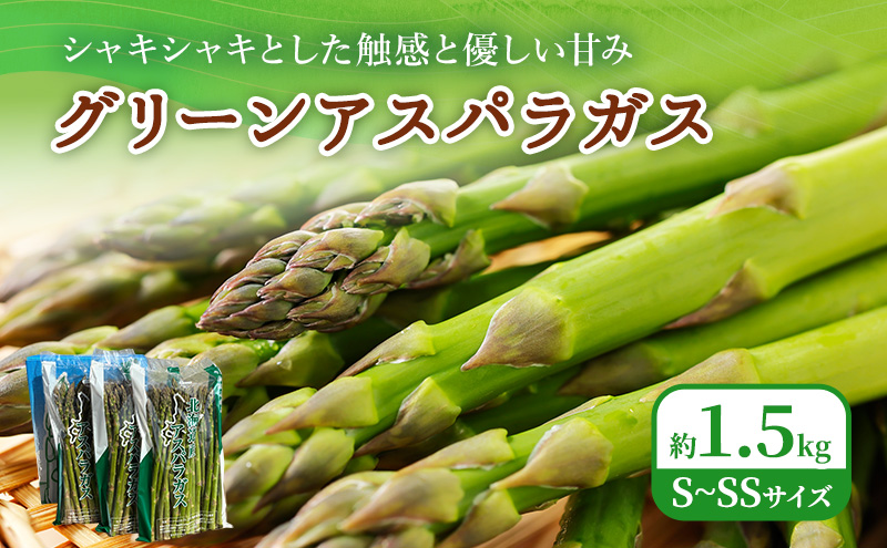 2026年春発送！ふらの グリーンアスパラ 約1.5kg [ 数量限定 先着順 アスパラ アスパラガス 野菜 新鮮 直送 北海道 富良野 ]