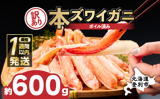 訳あり 冷凍 ボイル ずわいがに 足 600g ズワイガニ　ハーフポーション【順次出荷】 ギフト 2025