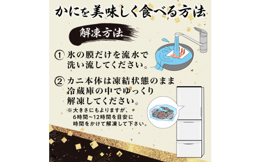 訳あり 冷凍 ボイル ずわいがに 足 600g ズワイガニ　ハーフポーション