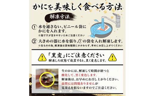 数量限定 特別価格 カット済み 生ずわいがに 1.25kg カニ鍋