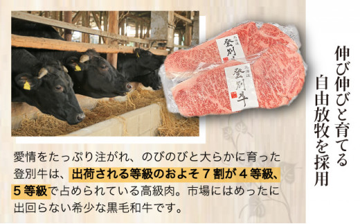 登別牛サーロインステーキ肉とのぼりべつ乳清豚（ホエー）ステーキ肉セット