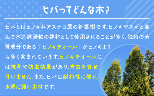 北海道ヒバのカッティングボードA（登別市市制施行50周年ロゴ）