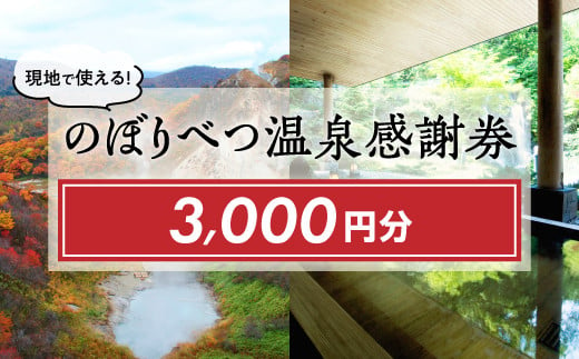 のぼりべつ温泉感謝券3，000円分