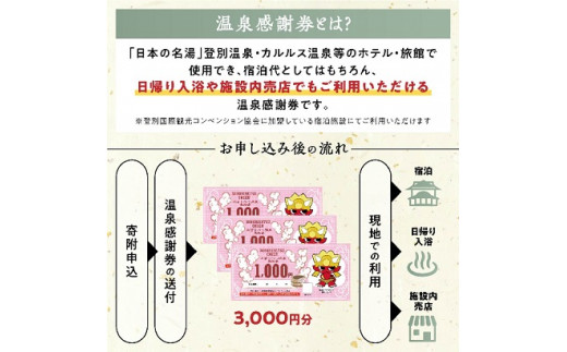 のぼりべつ温泉感謝券3，000円分