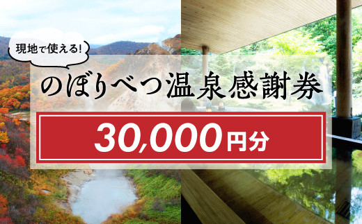 のぼりべつ温泉感謝券30，000円分