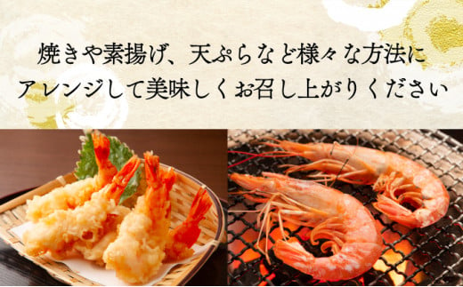 「えび」の灰干し食べ比べセット！「天使の海老」VS「赤えび」　エビの干物