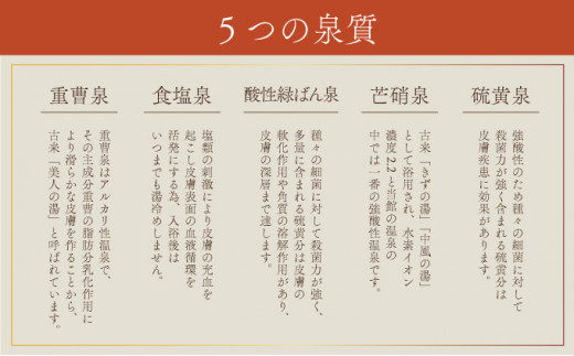 登別温泉「第一滝本館」ペア日帰り入浴券（2枚）