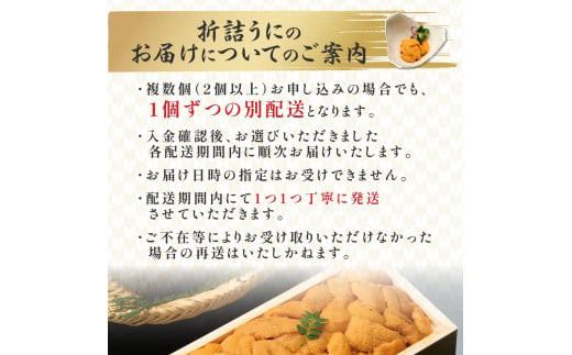 極上！北海道産キタムラサキウニ折詰200g ※2025年6月下旬～順次発送