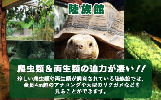 登別マリンパークニクス 入園券　子供1名