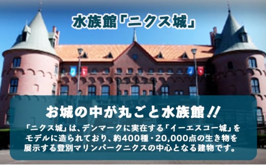 登別マリンパークニクス 入園券　大人1名