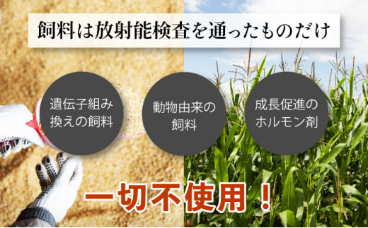 登別牛サーロインステーキ肉400g（200g×2枚）