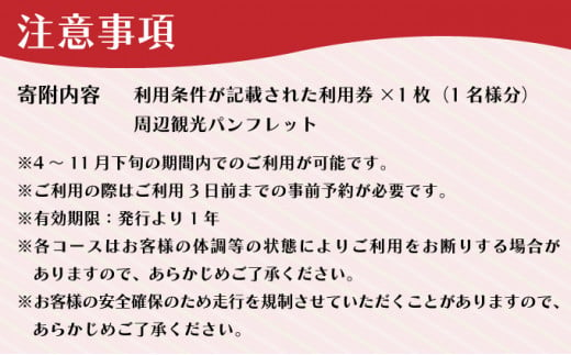 N.O.P登別オフロードパーク 四輪バギー 約30分利用券（チャレンジコース）