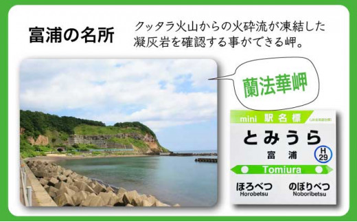 ◆登別駅・幌別駅・富浦駅・鷲別駅◆駅名グッズ詰合せ