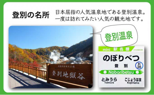 ◆登別駅・幌別駅・富浦駅・鷲別駅◆駅名グッズ詰合せ