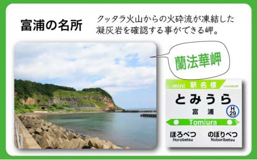 ◆登別駅・幌別駅・富浦駅・鷲別駅◆駅名グッズ全種類詰合せ