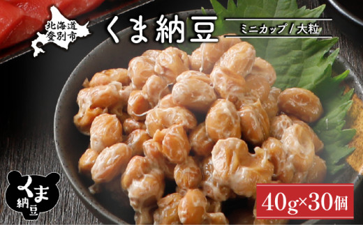 北海道くま納豆ミニカップ 大粒 30個 《順次発送》 国産 なっとう ナットウ 高級 大豆 厳選 老舗 栄養 発酵 ふるさと納税 北海道 登別市