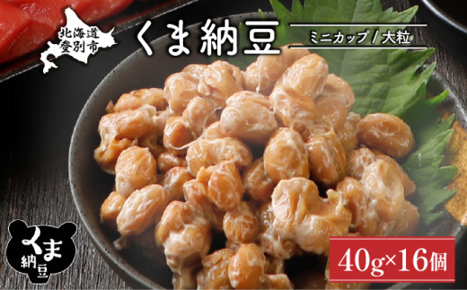 北海道くま納豆ミニカップ 大粒 16個 《順次発送》 国産 なっとう ナットウ 高級 大豆 厳選 老舗 栄養 発酵 ふるさと納税 北海道 登別市