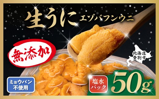 無添加 極上 エゾバフンウニ 塩水パック 50g 配送期間B：10月下旬～11月下旬迄 | うに 高級 ウニ 雲丹 生ウニ エゾバフンウニ 塩水 人気 ふるさと納税 北海道 登別市