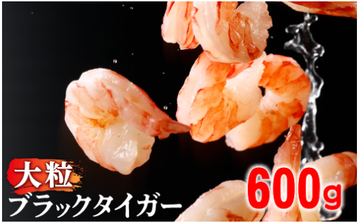 順次出荷 【訳あり】えび ブラックタイガー 冷凍 むきえび 600g下処理済み［えび エビ 海老 チャック付き 下処理不要 大型 2025 登別市］