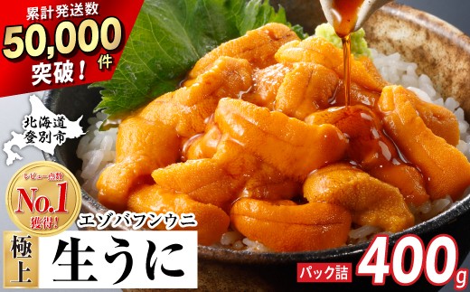 極上 エゾバフンウニ 400g（パック詰）配送期間B：10月下旬～11月下旬迄 高級 うに ウニ 雲丹 生うに バフンウニ 塩水 パック詰め ふるさと納税 北海道 登別市