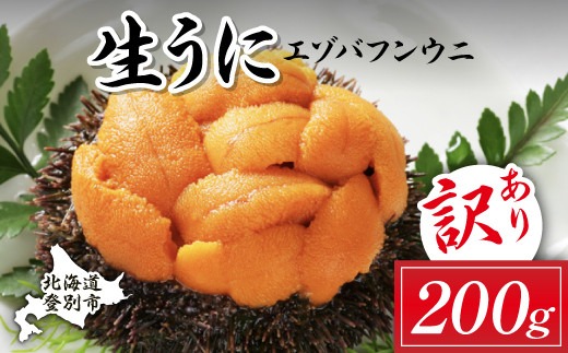 訳あり 規格外品 無添加 エゾバフンウニ 塩水パック 200g 配送期間B：10月下旬～11月下旬迄 うに ウニ 雲丹 生うに バフンウニ 塩水 パック詰め ふるさと納税 北海道 登別市