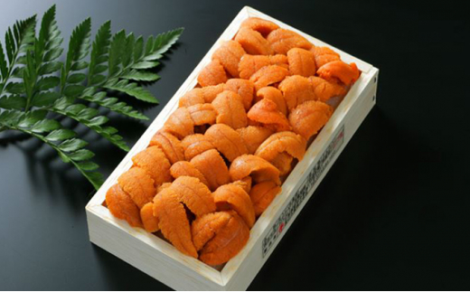 無添加 エゾバフンウニ 食べ比べセット 計200g（折詰・塩水パック） 配送期間C：10月下旬～11月下旬迄 【mh-0246_C】 ウニ ミョウバン不使用 うに 塩水 うに 塩水パック うに 折詰 uni うに 北海道 生ウニ 雲丹 高級 大容量 登別市