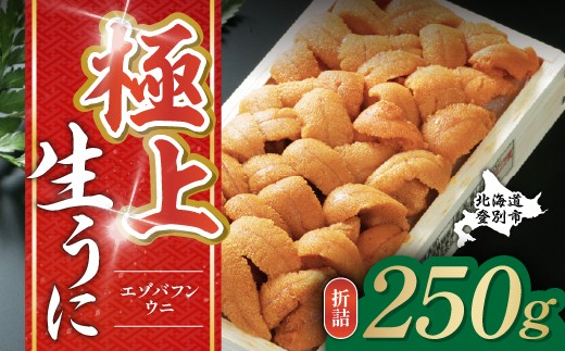 特選 エゾバフンウニ 折詰 250g ウニ丼約3杯分 配送期間B：10月下旬～11月下旬迄 高級 うに ウニ 雲丹 生ウニ バフンウニ 折り詰め ふるさと納税 北海道 登別市