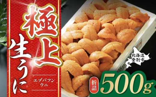 極上エゾバフンウニ 折詰 500g 配送期間B：10月下旬～11月下旬迄 高級 うに ウニ 雲丹 生ウニ バフンウニ 折り詰め ふるさと納税 北海道 登別市