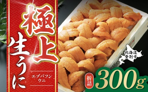 極上エゾバフンウニ 折詰 300g 配送期間B：10月下旬～11月下旬迄| ふるさと納税 うに 高級 ウニ 雲丹 生ウニ エゾバフンウニ折り詰め 北海道 登別 ふるさと 人気 送料無料