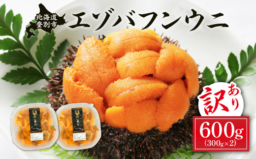 訳あり 規格外品 無添加 エゾバフンウニ 塩水パック 600g 配送期間B：10月下旬～11月下旬迄 うに ウニ 雲丹 生うに バフンウニ 塩水 パック詰め ふるさと納税 北海道 登別市