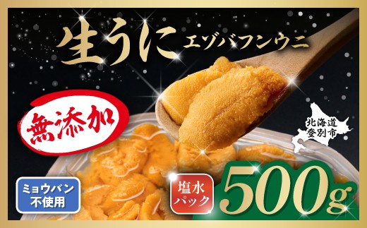 無添加 極上 エゾバフンウニ 塩水パック 500g 配送期間B：10月下旬～11月下旬迄 高級 うに ウニ 雲丹 生うに バフンウニ 塩水 パック詰め ふるさと納税 北海道 登別市