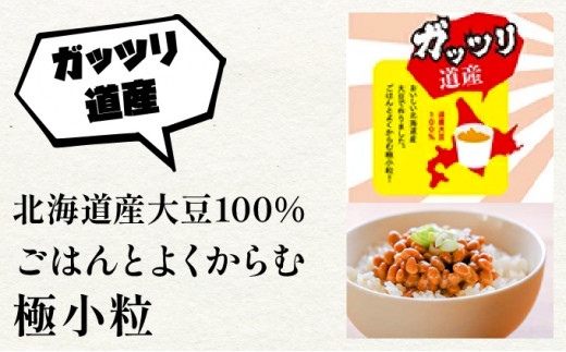 北海道のガッツリ納豆極小粒（100g×3入）10個