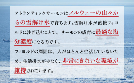 とろとろサーモン地獄漬100g×3個