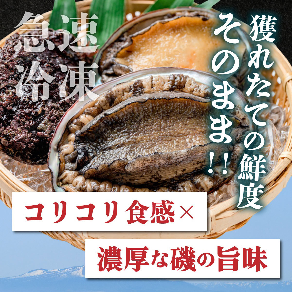 シ懷句桁陬縺ァ鬟溘∋繧縺吶>シシ 螟ゥ辟カ 陜ヲ螟キ縺ゅo縺ウ 險500g | 蛹玲オキ驕 縺ゅo縺ウ 鬮倡エ 蜀キ蜃 蜀キ蜃阪≠繧上ウ 豬キ魄ョ 螟ゥ辟カ 繧「繝ッ繝 魄 蛻コ霄ォ awabi 蟆丞縺 蛟句桁陬 螟ァ螳ケ驥 蛹玲オキ驕 逋サ蛻・蟶 繧ョ繝輔ヨ