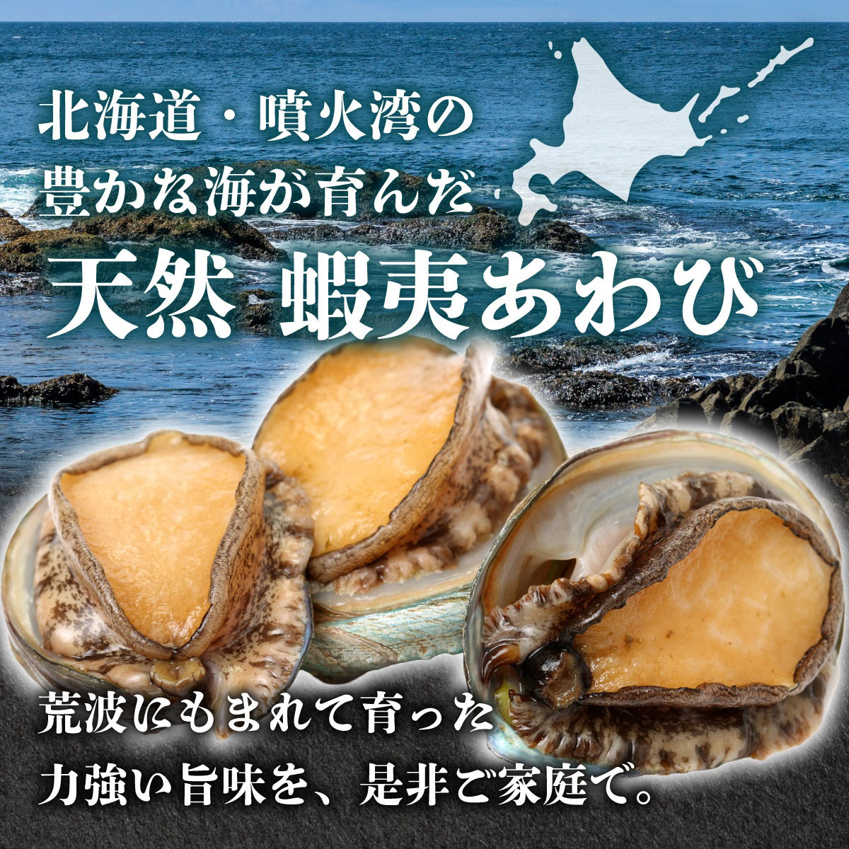 ＜個包装で食べやすい！＞ 天然 蝦夷あわび 計1kg | 北海道 あわび 高級 冷凍 冷凍あわび 海鮮 天然 アワビ 鮑 刺身 awabi 小分け 個包装 大容量 北海道 登別市 ギフト