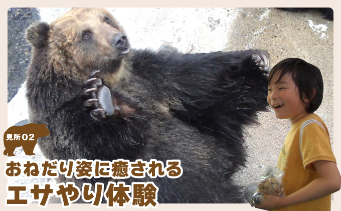 のぼりべつクマ牧場入場券 大人（中学生以上）1名様