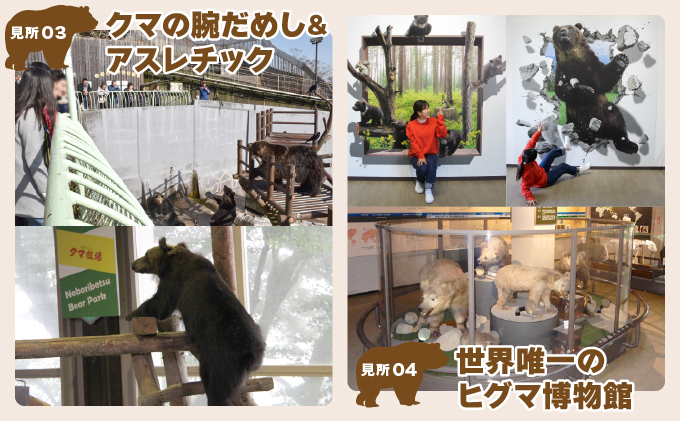 のぼりべつクマ牧場入場券 大人（中学生以上）1名様