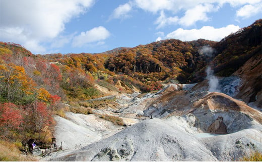 北海道登別市　日本旅行　地域限定旅行クーポン 150,000円分