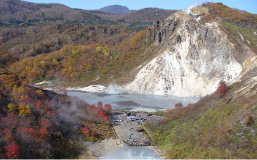 北海道登別市　日本旅行　地域限定旅行クーポン 150,000円分