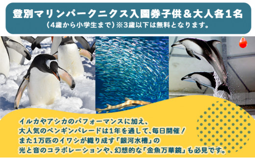 登別マリンパークニクス 入園券　大人・子供　各1名