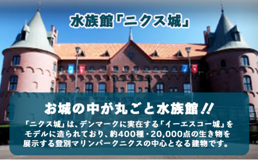 登別マリンパークニクス 入園券　大人・子供　各1名