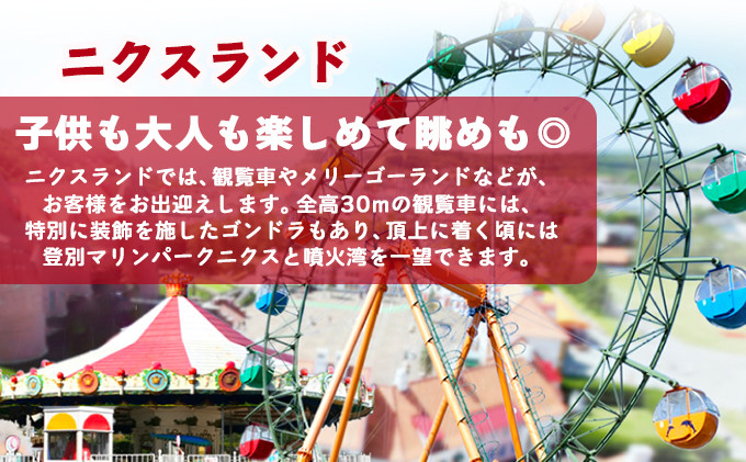 登別マリンパークニクス 入園券　大人・子供　各1名