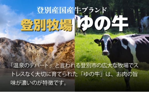 登別産国産牛ブランド【登別牧場ゆの牛(うし)】 肩ロース 750g