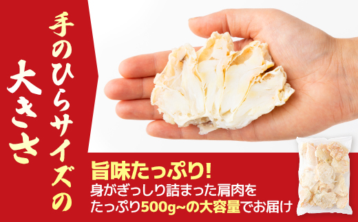 量が選べる！本ズワイガニ 肩肉 500g カニ用フォーク付き！ 年末年始 お歳暮 正月 ギフト 2025