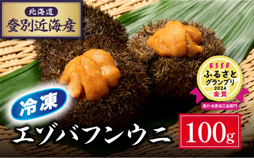 北海道登別近海産エゾバフンウニ（冷凍パック）100g ※6月以降順次配送