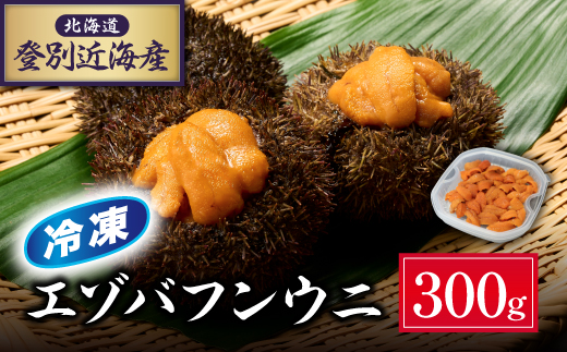 北海道登別近海産エゾバフンウニ（冷凍パック）300g