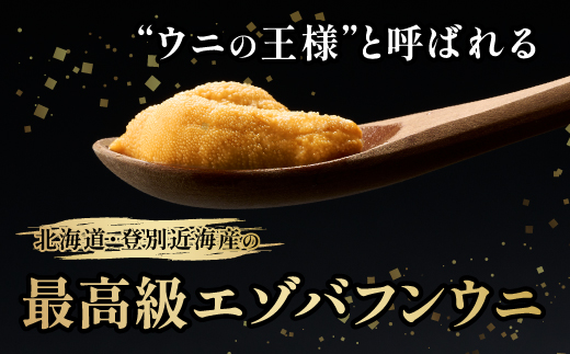 北海道登別近海産エゾバフンウニ（冷凍パック）100g ※6月以降順次配送