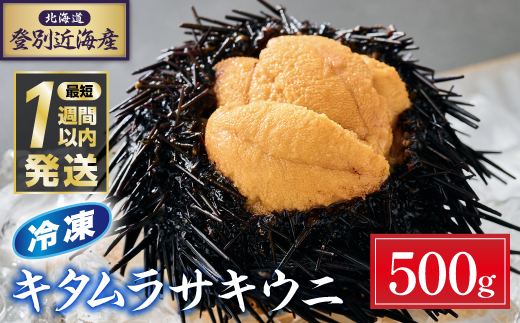 登別近海産冷凍キタムラサキウニ（パック詰）500g