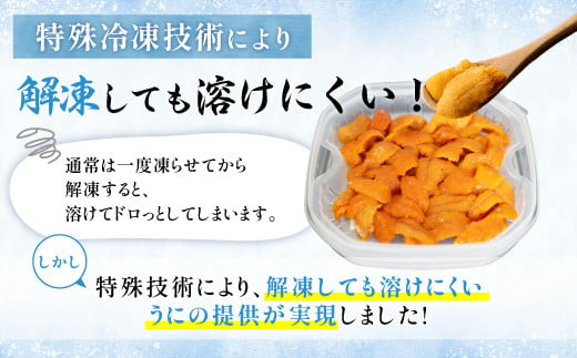 登別近海産冷凍キタムラサキウニ（パック詰）100g